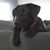 Jenny Behling's profile image