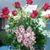 Crystal D. Brinkley's profile image