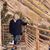 Lynn Tidmarsh Smith's profile image