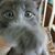 Phyllis StCyr's profile image