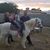 Hannah Gravely's profile image