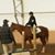 Kaitlin Niven's profile image