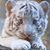Helen A Stovall's profile image