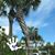 Linda Brunst's profile image