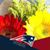 Kathy Overstreet's profile image