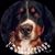 Celeste Moulton's profile image