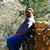 Wesley Domon Sr's profile image