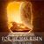 Peggy J. Fechtelkotter's profile image