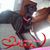 Valerie Skiles's profile image