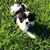 Sue Costanzo's profile image