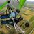 Shirley Deshong Charlebois's profile image