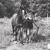 JoHanna Appel's profile image