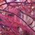 Georgette Garza's profile image