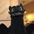 Wendy Martyna's profile image