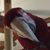 Vickie Turner's profile image