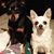 DaLinda Kaye's profile image