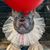 Kimberly Young MacPhail's profile image