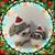 Lisa Carman Holland's profile image