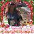 Margi Young Noblia's profile image