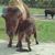 Jane Jones's profile image