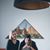 Maria Levitov's profile image