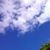 Rachel Brewer Simister's profile image