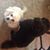 Lynn Adamkiewicz's profile image