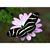 Nancy Hare-Dickerson's profile image