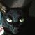Marlene Martin Spencer's profile image