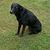 Debbie Johnston's profile image