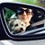 Randi Milgram's profile image