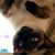 Sheila Hampson-Ellis's profile image
