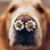 Diane Diles Redford's profile image