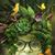 Susan A. Smith's profile image