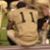 Sean Suslowicz's profile image