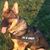 Selva M's profile image