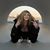 Brittney Hollingshead's profile image