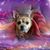 Anita Egelhoff's profile image