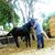 El Compa Jh's profile image