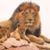John L Goolsby II's profile image
