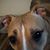 Teresa Yates's profile image