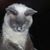 Angel LeeVera Reznik's profile image
