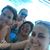 Paula Thompson-Kirkpatrick's profile image