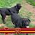 Gail Atcheson O'Connor's profile image