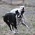 Michelle Beston's profile image