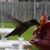 Jamie Binns Flanner's profile image