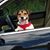 Tammy Huddleston's profile image