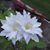 Stephanie Boik's profile image