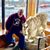 Fred Whipple's profile image