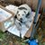 Pamela Finstrom's profile image